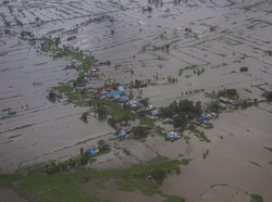 3.074 Hektare Sawah Gagal Panen, Petani Cirebon Akan Dapat Bibit Gratis