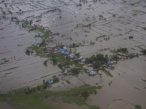 48 Ribu Ha Sawah di Kalsel Terendam Banjir 48 Ribu Ha Sawah di Kalsel Terendam Banjir