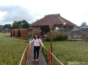 Foto: Kafe Tengah Sawah yang Unik dan Asyik di Kudus