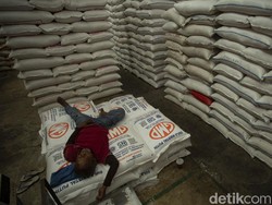 Dinilai Rugikan Petani, DPR Tolak Rencana Impor 1 Juta Ton Beras