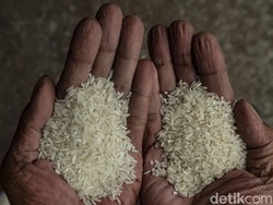 Kementan Amankan Stok Beras di Ramadhan, Gimana Caranya?