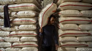 Stok Beras Aman di Tengah Cuaca Ekstrem