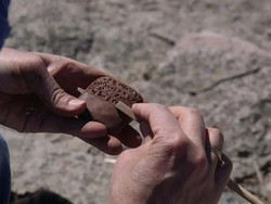 Surat Rahasia Ribuan Tahun Ungkap Keterlibatan Wanita di Perdagangan Kuno