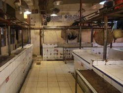 Tanggapan Pengekspor Australia Soal Rencana Indonesia Mengimpor Daging Meksiko