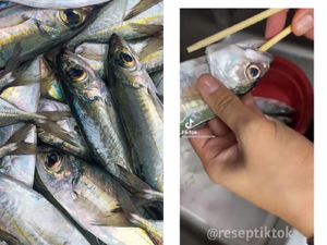 Tips Praktis Bersihkan Insang Ikan Kembung Pakai Sumpit