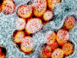 Vaksin Lemah Bisa Picu Munculnya Mutasi Virus Berbahaya