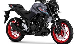 Tampilan Baru Yamaha MT-25