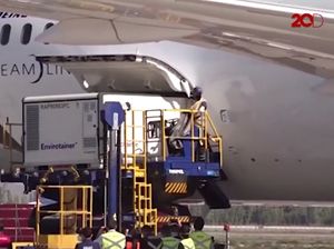 Cile Sambut Gembira Kedatangan Pertama Vaksin Covid-19 Sinovac