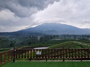 Eksotisme Majalengka dari Atas Ketinggian 1.265 MDPL