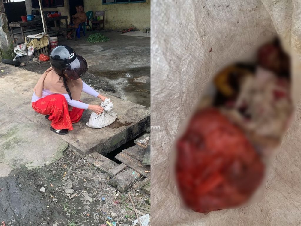 Sadis! Puluhan Kucing Dijagal dan Dagingnya Dikonsumsi Sadis! Puluhan Kucing Dijagal dan Dagingnya Dikonsumsi