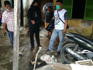 Jagal Kucing di Medan Divonis 2,5 Tahun Penjara Jagal Kucing di Medan Divonis 2,5 Tahun Penjara