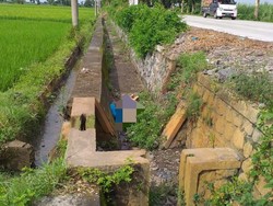 Identitas Mayat dengan Luka pada Kepala di Kediri Terungkap