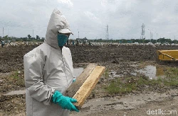 Belasan Jenazah Pasien COVID-19 Dimakamkan di TPU Keputih Surabaya Per Hari