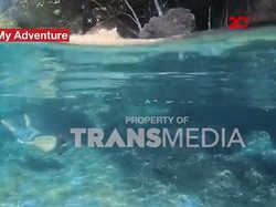 My Trip My Adventure: Eksotisnya Bawah Laut Tanjung Gurita Sulteng