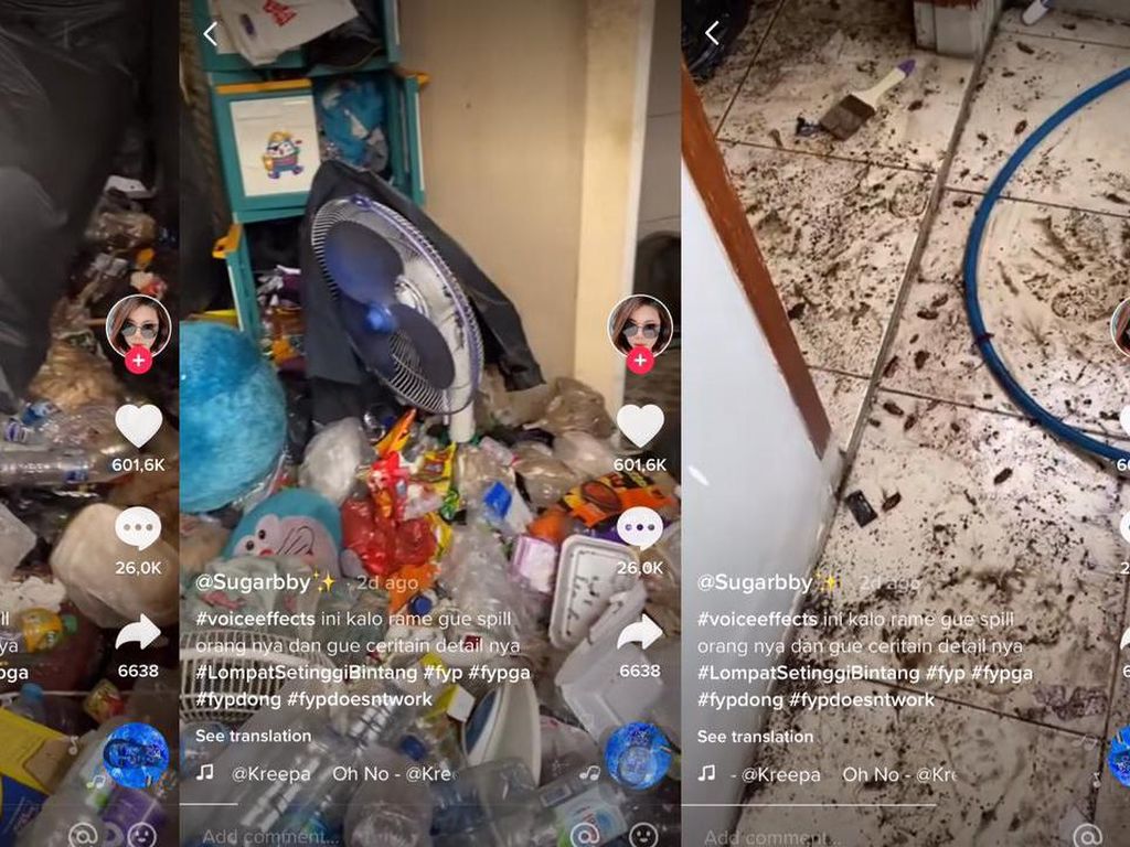 Viral Kamar Kost Penuh Sampah dan Kecoak, Netizen Duga Hoarding Disorder Viral Kamar Kost Penuh Sampah dan Kecoak, Netizen Duga Hoarding Disorder