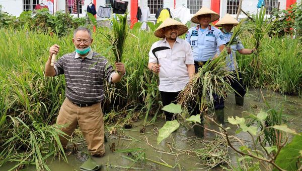 Foto: Setnov Bertani dengan Topi Caping di Lapas Sukamiskin