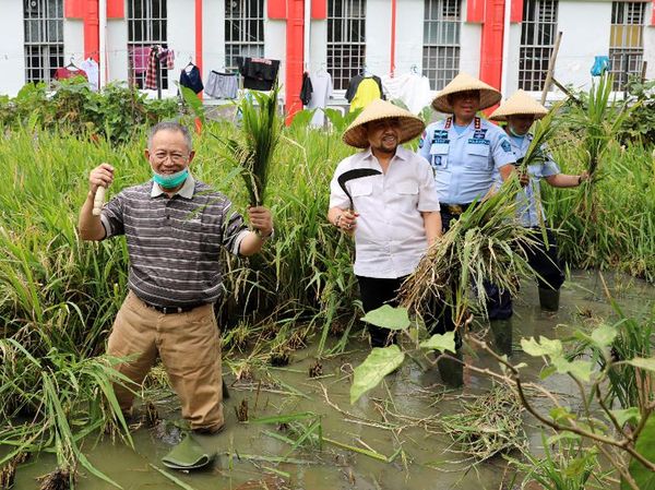 Foto: Setnov Bertani dengan Topi Caping di Lapas Sukamiskin