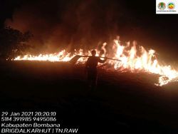 Taman Nasional Rawa Aopa Kebakaran, Belasan Hektar Lahan Terbakar