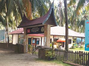 Konservasi Penyu Daihatsu Diganjar Penghargaan Lingkungan