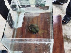 4 Temuan Meteorit di Indonesia yang Bikin Gempar 4 Temuan Meteorit di Indonesia yang Bikin Gempar