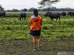 Strategi Agen Travel untuk Gaet dan Bikin Nyaman Wisatawan Lokal