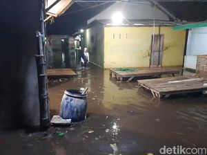 Puluhan Rumah Tergenang Banjir Rob, 2 Perahu Rusak & Tangkis Tepi Pantura Jebol