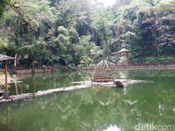 Mengenal Rowo Bayu Banyuwangi yang Ramai Disebut Lokasi KKN Desa Penari