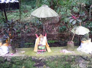 Ritual di Telaga Rowo Bayu Mengenang Gugurnya Puluhan Ribu Orang Melawan VOC