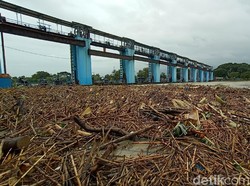 Pintu Air Wilalung Kudus Berstatus Awas, Tampak Tumpukan Sampah