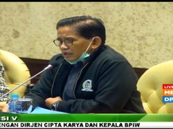Minta Maaf, Anggota DPR Jelaskan soal NTT Istimewanya Komodo Saja
