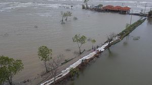 Cegah Abrasi, Warga Pekalongan Gotong Royong Bangun Tanggul Laut