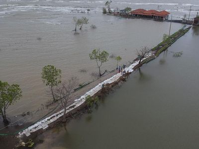 Cegah Abrasi, Warga Pekalongan Gotong Royong Bangun Tanggul Laut