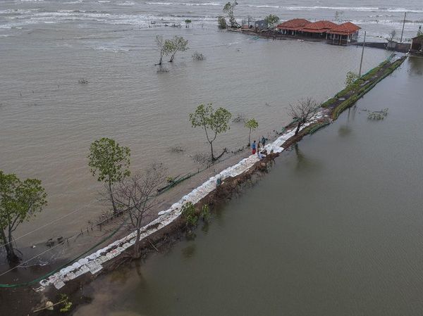 Cegah Abrasi, Warga Pekalongan Gotong Royong Bangun Tanggul Laut