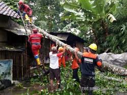 Hujan-Angin Kencang Terjang Sleman, Rumah Warga Porak Poranda