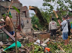 Diterjang Angin Kencang, Pohon Tua di Kota Blitar Tumbang Timpa 3 Rumah