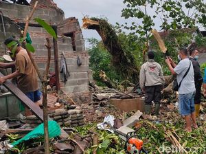 Diterjang Angin Kencang, Pohon Tua di Kota Blitar Tumbang Timpa 3 Rumah Diterjang Angin Kencang, Pohon Tua di Kota Blitar Tumbang Timpa 3 Rumah
