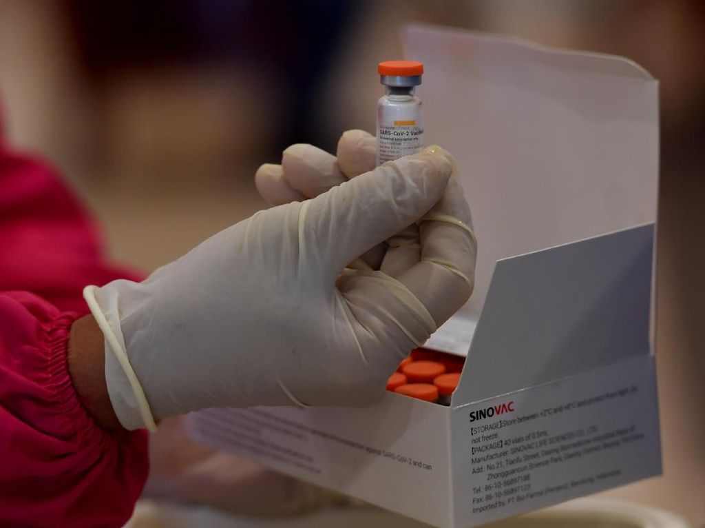 BPOM Izinkan Vaksin Sinovac untuk Lansia, Ini 3 Syarat yang Diberikan
