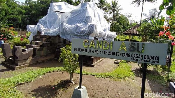 Antisipasi Hujan Abu, Candi di Lereng Merapi Ditutupi Plastik