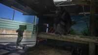 Dihantam Pandemi, Kebun Binatang Yunani Terancam Tutup