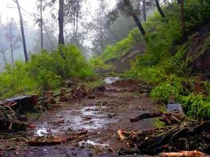 Longsor Putus Total Akses Menuju Kawah Ijen di Bondowoso