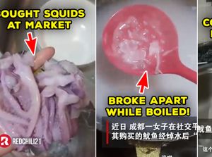 Kacau! Beli Cumi-cumi di Pasar Saat Direbus Malah Jadi Bubur