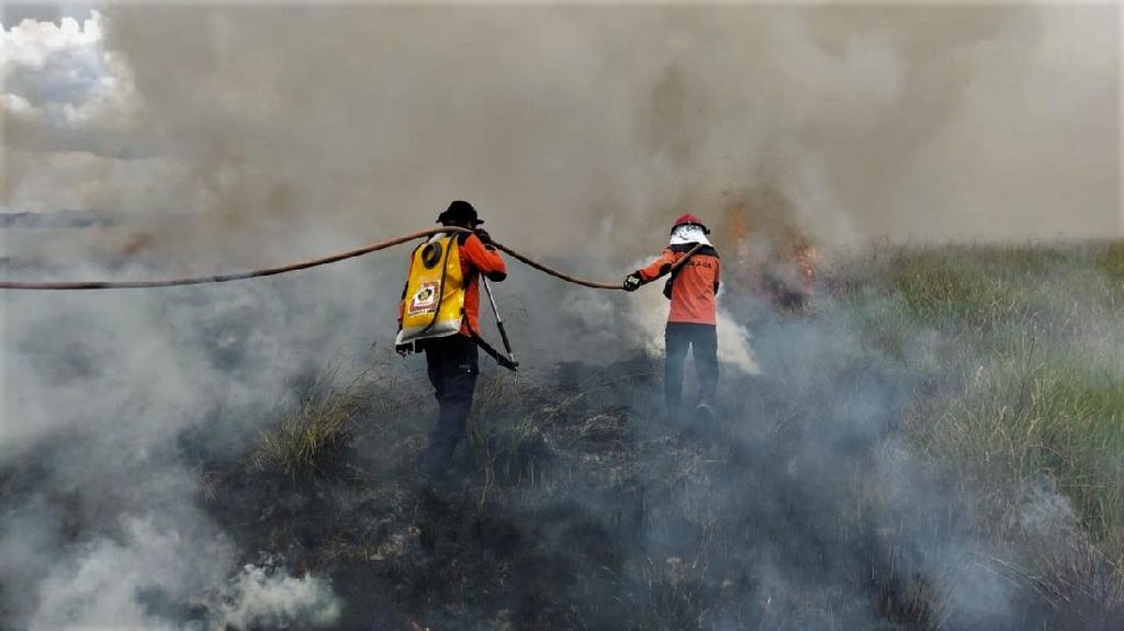 Miris! 17,5 Ha Lahan Taman Nasional di Sulteng Terbakar