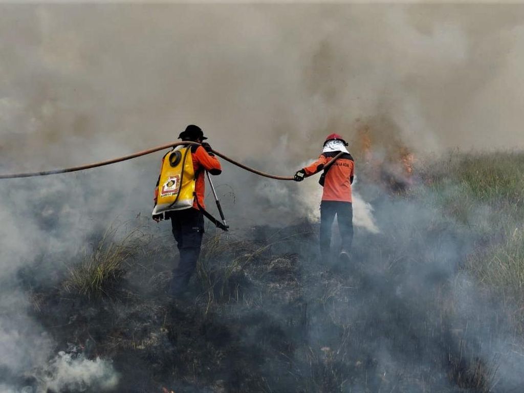 811 Hektare Lahan di Riau Terbakar, Api Masih Membara di 3 Daerah Ini