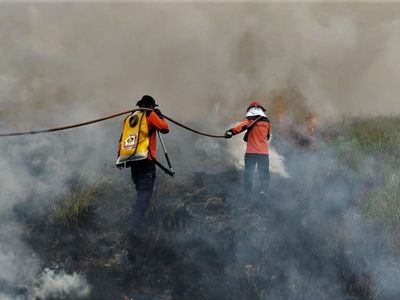 Miris! 17,5 Ha Lahan Taman Nasional di Sulteng Terbakar