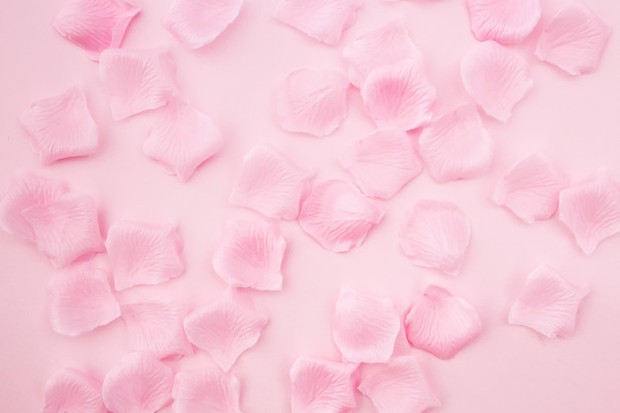 Kelopak mawar jika disuling dapat bermanfaat untuk antioksidan