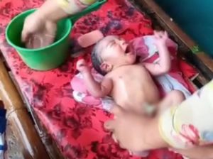 Bayi Terbungkus Daun Pare Ditemukan di Ladang Tebu Pasuruan