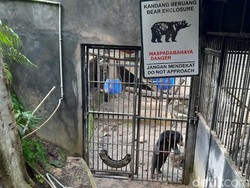 Pusat Rehabilitasi Satwa Liar WRC Yogya Terancam Tutup Gegara Pandemi