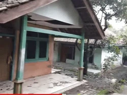 Antusiasnya WNA Eropa dan Asia Ikut Panen Kopi di Bondowoso