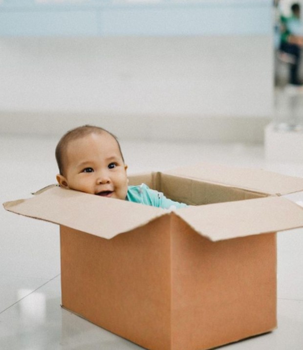 Tabi / instagram.com (andienaisyah) Tabi memiliki mata yang besar