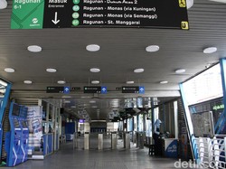 Halte Ragunan Mulai Direvitalisasi, TransJ Siapkan Halte Sementara
